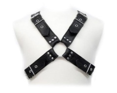 Arnes Dominacion BDSM