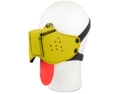 Tish - Bozal Perro Amarillo