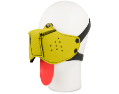 Tish - Bozal Perro Amarillo