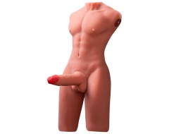 Torso Erótico Masculino con Pene perspectiva 1