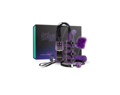 secret-pleasure-chest-purple-apprentice
