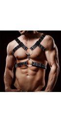 Arnes BDSM Masculino