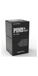 Penis + Erect
