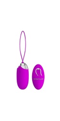 Egg Berger Control Remoto 12 V Egg Berger Control Remoto 12 V