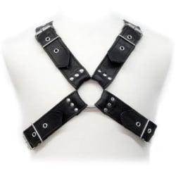 Arnes Dominacion BDSM