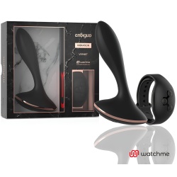 Plug Control a DistanciaL VERNET