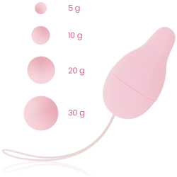 Desarrollador Suelo Pelvico Kegel Sistema De Pesos