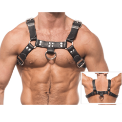 Arnes BDSM pecho HARNESS III