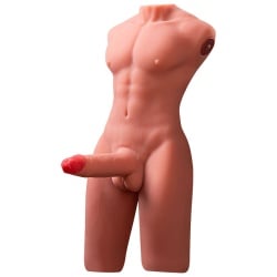 Torso Erótico Masculino con Pene perspectiva 1