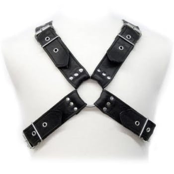 Arnes Dominacion BDSM