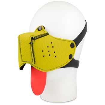 Tish - Bozal Perro Amarillo