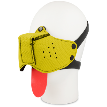 Tish - Bozal Perro Amarillo