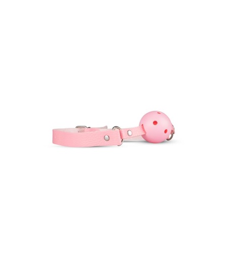 15462 set-secret-pleasure-pink-pleasure