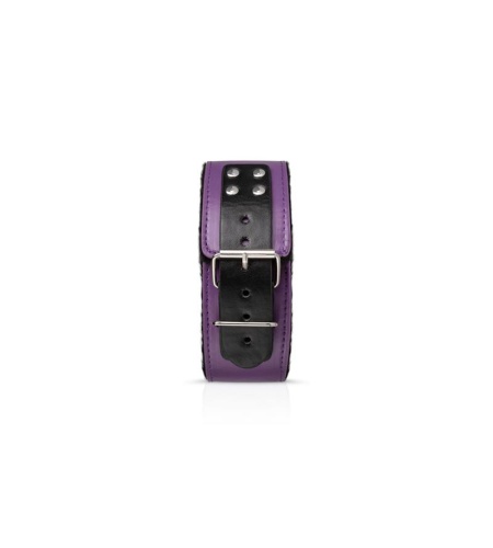 20508 secret-pleasure-chest-purple-apprentice