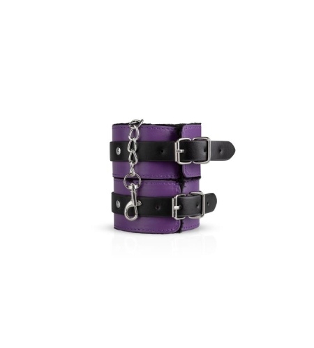 24125 secret-pleasure-chest-purple-apprentice