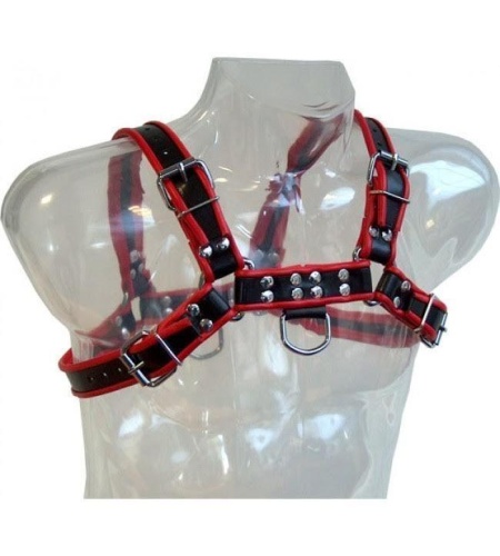Arnes gay bdsm leather