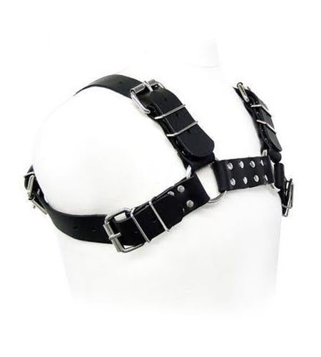 Arnes gay de cuero y metal