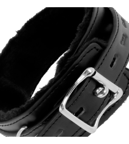 Collar BDSM