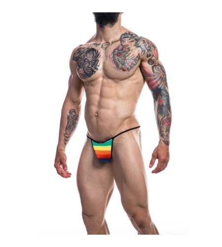 Briefkini Arcoiris imagen 1