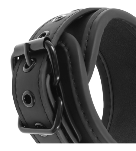 Restricción Esposas y Collar