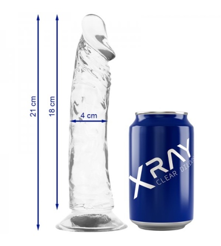 Arnés Adaptable con Dildo de  21 CM X 4CM