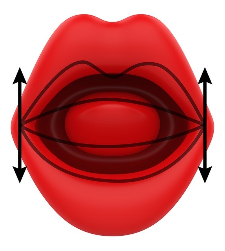 Lengua Estimuladora