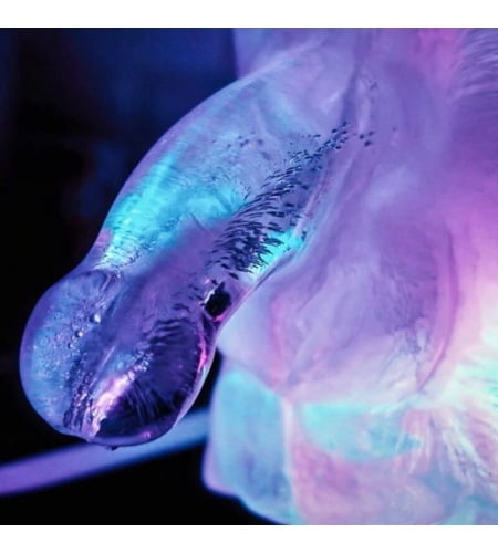 Molde De Hielo Pene Grande
