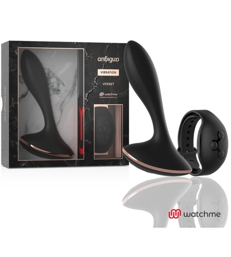 ANBIGUO Plug Control a DistanciaL VERNET