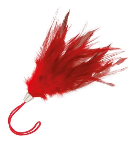 plumaroj55PLUMA ESTIMULADORA ROJO 17CM