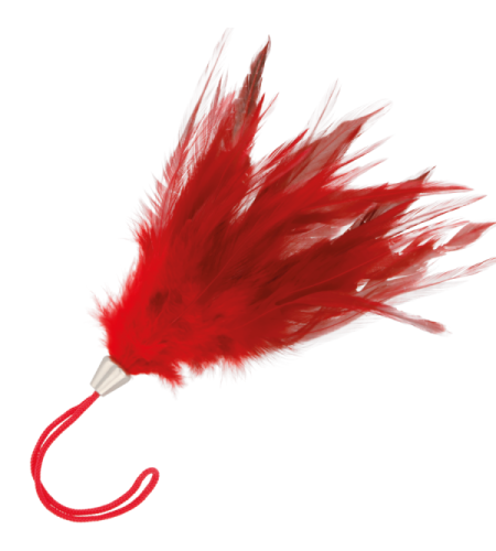 plumaroj55PLUMA ESTIMULADORA ROJO 17CM