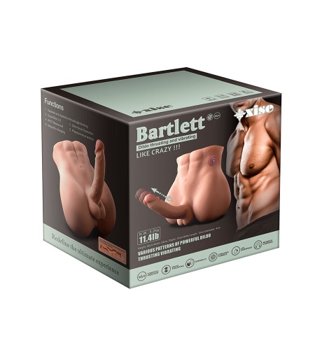 Torso Penetrable con Pene muestra 10